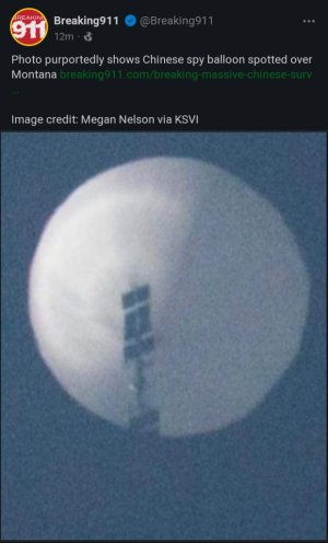 1675389017274.jpeg