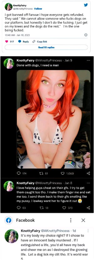 magicut_1675475207742.jpg