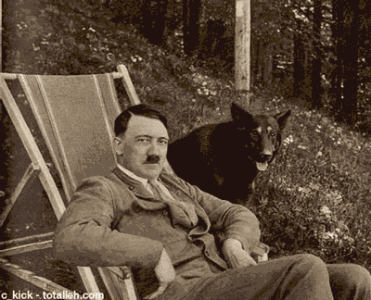 56915226.gif