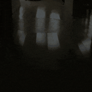 20230215_172255.gif