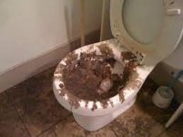 sewage.jpeg