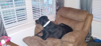 20201217_170651.jpg