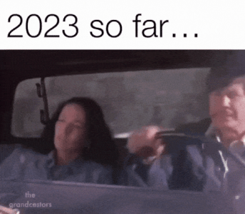 20230226_170911.gif