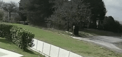 20230306_103908.gif