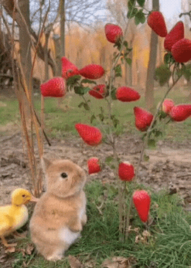 20230308_161050.gif