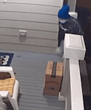 20230316_203429.gif