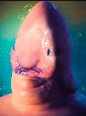 magicut_1679117950430.png