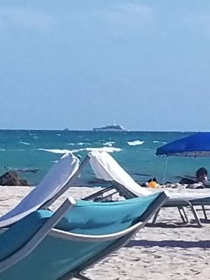 20230317_171649.jpg