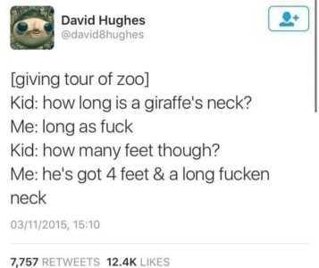 Giraffe.jpg