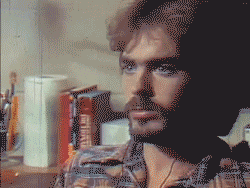 1681529278972.gif