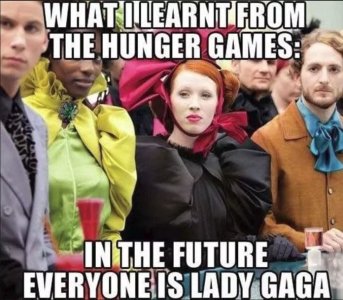 hunger-games-gaga-meme.jpg