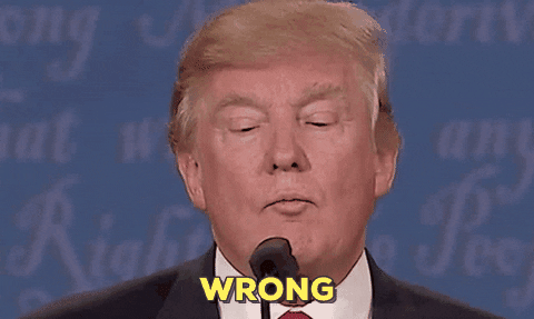 1682042657082.gif