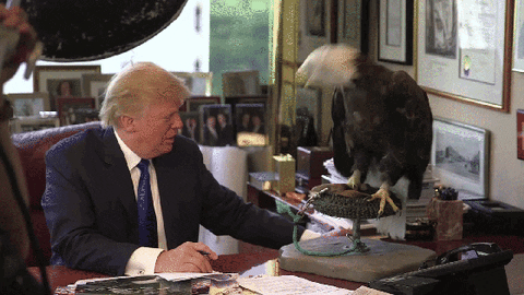 1682518983230.gif
