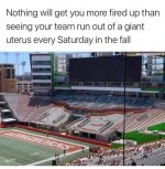 1619726096462.jpeg