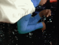 1619764345311.gif