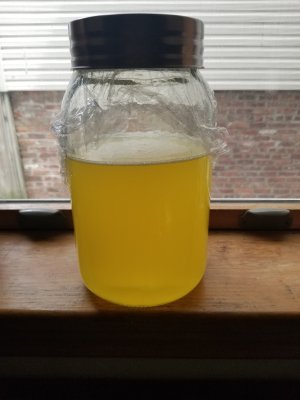 20230503_135204.jpg