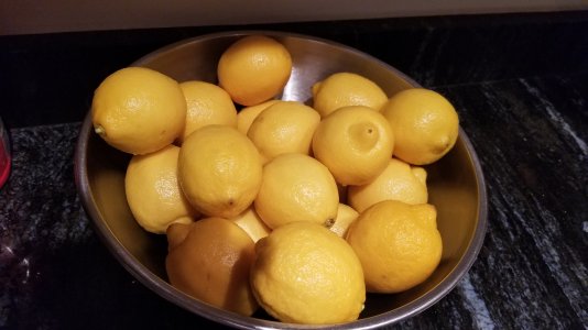 20230225_194555.jpg