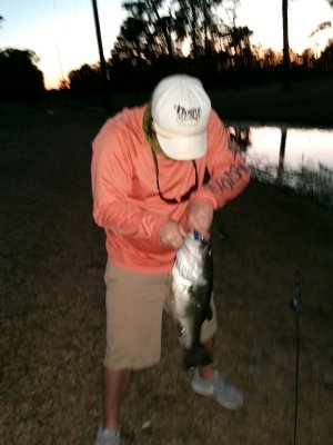 bass 5.jpeg