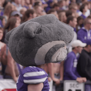 1685473178981.gif