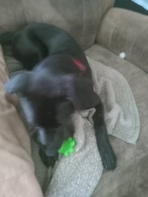 20230701_140536.jpg