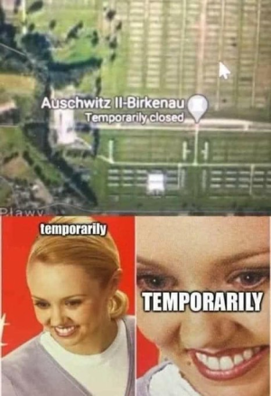1689254146065.png