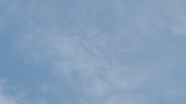 20210430_063556.jpg