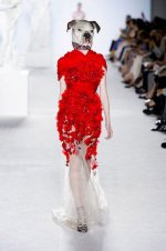 Belle on runway.jpg