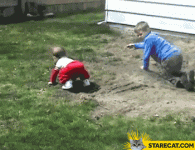 1620449222012.gif
