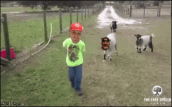 1620449545446.gif