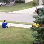 1620449595125.gif