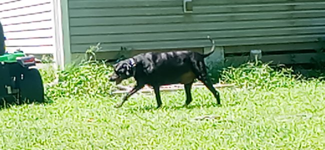 20230807_143655.jpg
