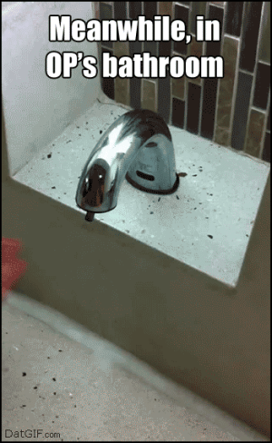 ea9.gif