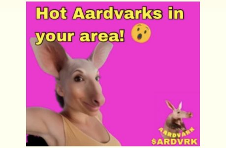 F57219C9-1402-448F-AB0D-AA2F0C33002C.jpeg