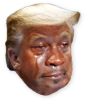 mjtrump.png