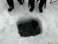 1620578961258.gif