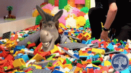 2E400F94-F09E-42D2-A797-6241364649AE.gif
