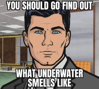 cc2a8f25662b453ef82ad2ce89e82dd5b388b62fc312a5deb8398de5ba5d09bb_1.jpg.jpg