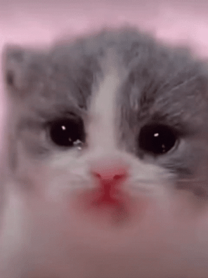 1696512202193.gif