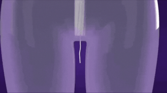 20231012_145608.gif