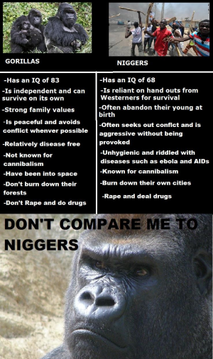 1697226676821.png