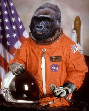1697337661417.png