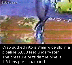 E6AC0A06-B174-4208-832A-D70B10910EF0.gif
