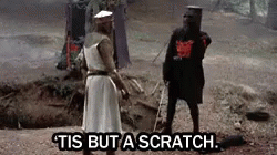 monty-python-tisbutascratch.gif