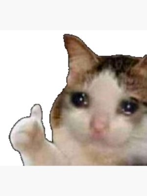 1698705572337.jpeg