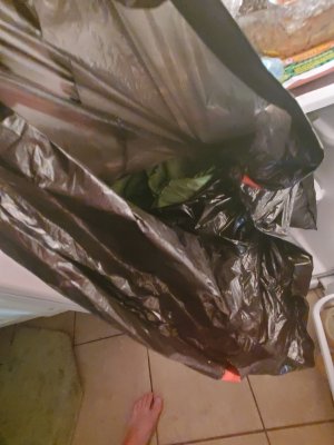 20231120_173347.jpg