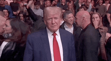 IMG_6495.gif