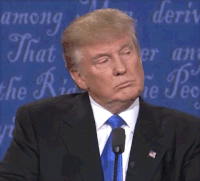 1701363228307.gif