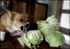 1701740906392.gif