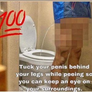 1703826818213.jpeg