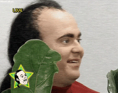 1704505954734.gif